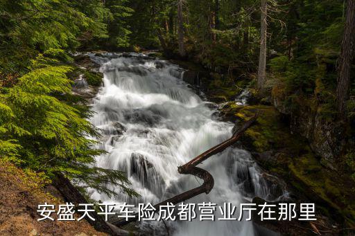 安盛天平電話，95550是哪家保險公司急用
