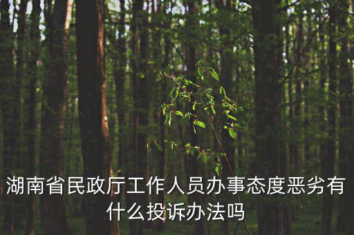 湖南省民政廳工作人員辦事態(tài)度惡劣有什么投訴辦法嗎