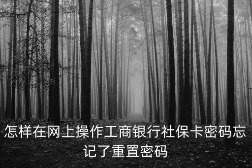 社?？ㄍ浢艽a，怎樣在網上操作工商銀行社?？艽a忘記了重置密碼