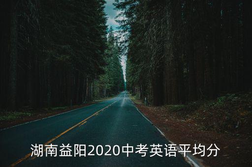 湖南益陽，湖南益陽哪個市