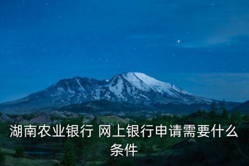 湖南農業銀行 網上銀行申請需要什么條件