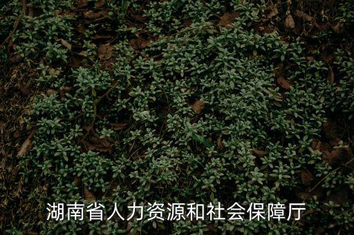 湖南省人力資源和社會保障廳