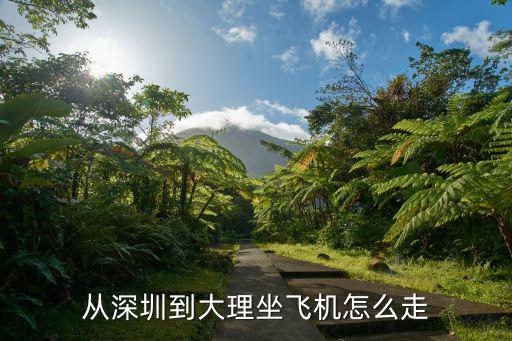 從深圳到大理坐飛機怎么走