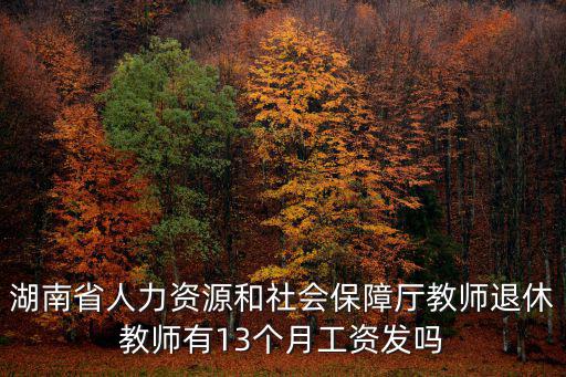 湖南省人力資源和社會保障廳教師退休教師有13個月工資發嗎