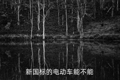 新國標的電動車能不能
