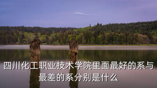 四川化工職業技術學院里面最好的系與最差的系分別是什么