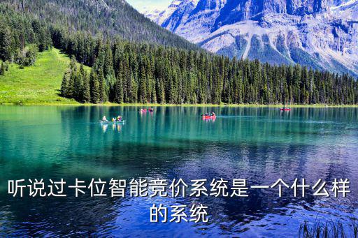 聽說過卡位智能競價系統是一個什么樣的系統