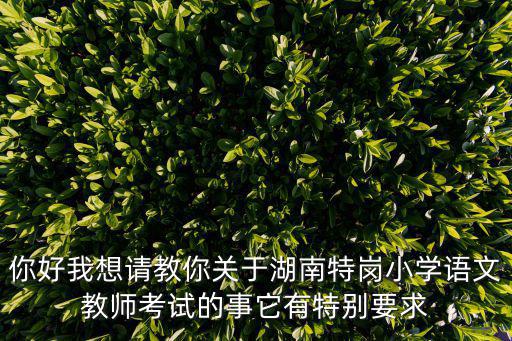 你好我想請教你關于湖南特崗小學語文教師考試的事它有特別要求