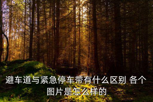 緊急停車(chē)帶，緊急停車(chē)帶與避車(chē)道標(biāo)志設(shè)置的地方以及區(qū)別