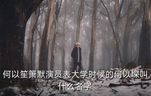 何以笙簫默演員表，何以笙簫默應(yīng)暉前女友佟心櫻是誰(shuí)演的