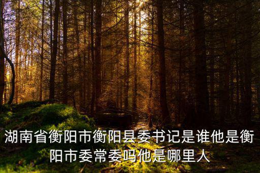 湖南省衡陽市衡陽縣委書記是誰他是衡陽市委常委嗎他是哪里人