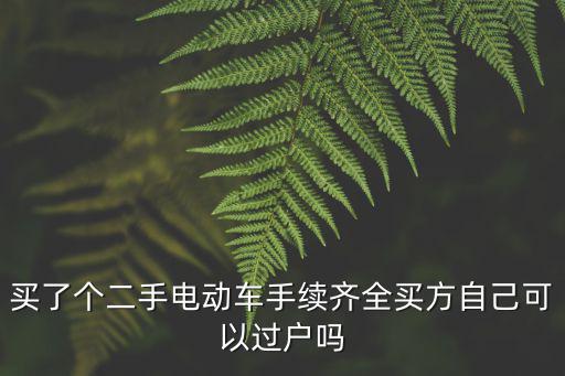 買了個(gè)二手電動車手續(xù)齊全買方自己可以過戶嗎