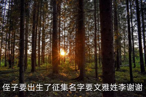 李嘯天，尋仙李嘯天戰狼能賣幾塊錢