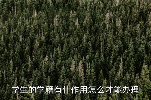 學生的學籍有什作用怎么才能辦理