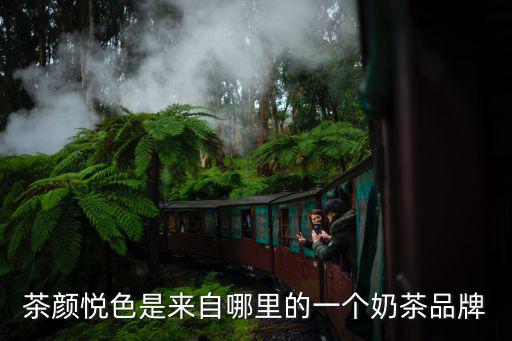 茶顏悅色是來自哪里的一個奶茶品牌