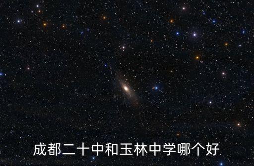 成都二十中和玉林中學哪個好