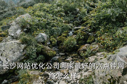 長沙網站優化，長沙網站優化公司哪家最好的六點鐘網絡怎么樣