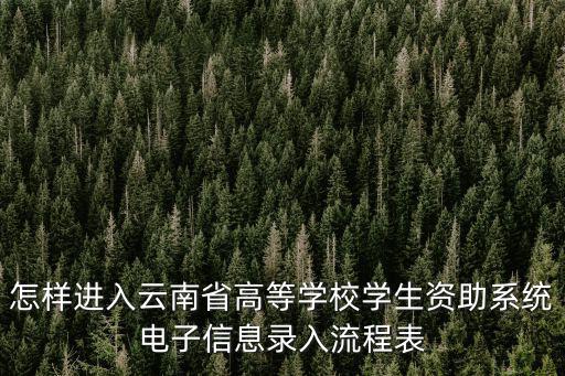 考生登錄入口，怎樣進入云南省高等學校學生資助系統電子信息錄入流程表