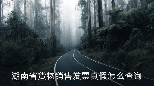 湖南省貨物銷售發票真假怎么查詢
