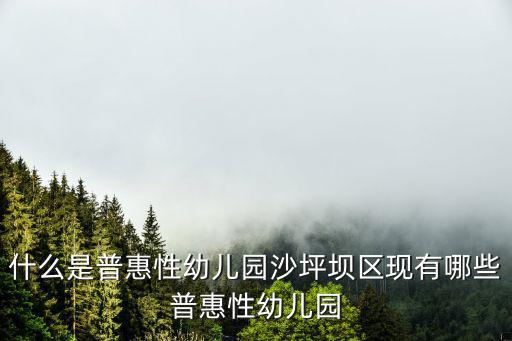 什么是普惠性幼兒園沙坪壩區(qū)現(xiàn)有哪些普惠性幼兒園