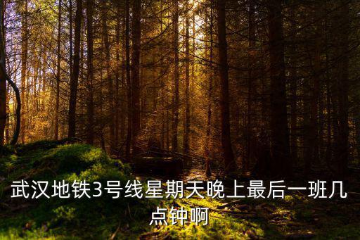武漢地鐵3號線星期天晚上最后一班幾點鐘啊