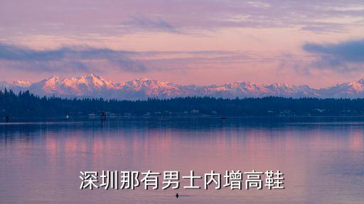 深圳那有男士內增高鞋