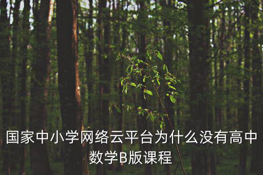 國家中小學網絡云平臺為什么沒有高中數學B版課程