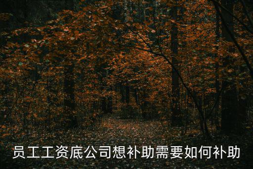 員工工資底公司想補助需要如何補助