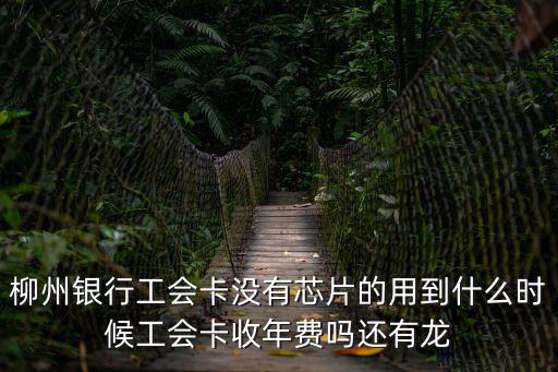 柳州銀行工會卡沒有芯片的用到什么時候工會卡收年費嗎還有龍