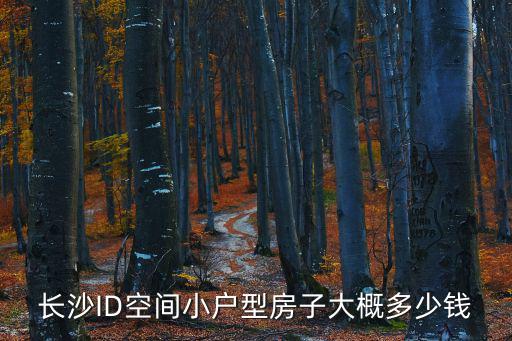 長沙ID空間小戶型房子大概多少錢