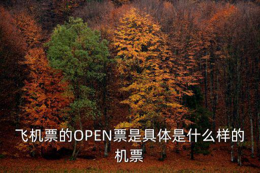 飛機票的OPEN票是具體是什么樣的機票
