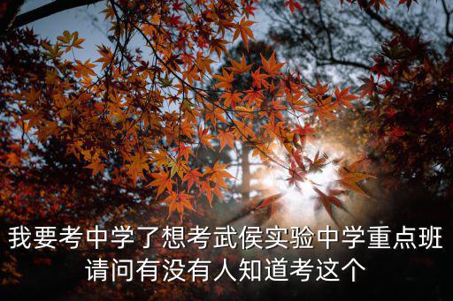 成都武侯實(shí)驗(yàn)中學(xué)，武侯實(shí)驗(yàn)中學(xué)繁體字怎么寫