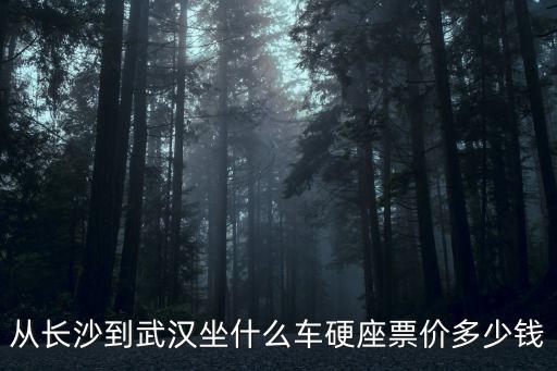 從長沙到武漢坐什么車硬座票價多少錢