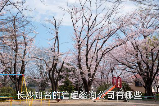 長沙的公司，長沙知名的管理咨詢公司有哪些