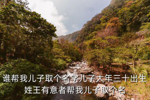 誰幫我兒子取個名字兒子大年三十出生姓王有意者幫我兒子取個名