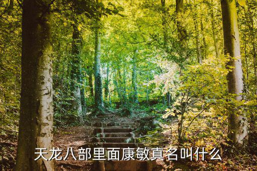 天龍八部里面康敏真名叫什么