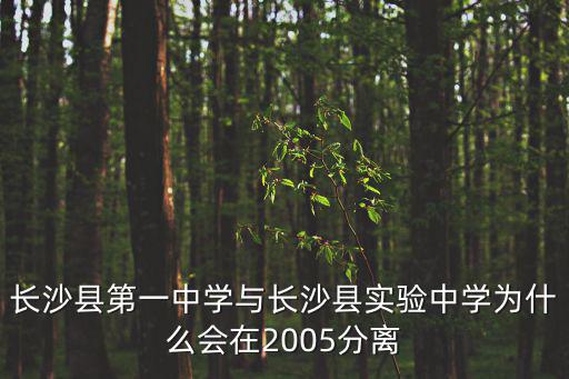 長沙縣實驗中學，長沙縣第一中學與長沙縣實驗中學為什么會在2005分離