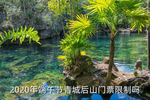 青城后山門票，2020年端午節(jié)青城后山門票限制嗎