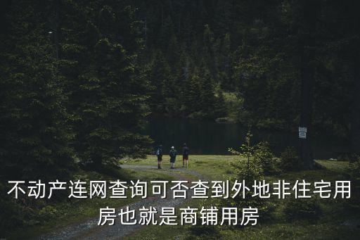不動產查詢，不動產連網查詢可否查到外地非住宅用房也就是商鋪用房