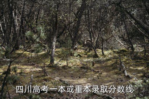 四川高考一本或重本錄取分數線