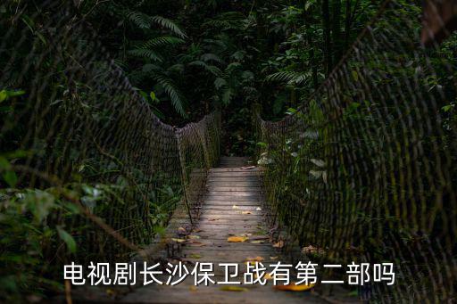 長沙保衛(wèi)戰(zhàn)電視劇全集，有沒有類似長沙保衛(wèi)戰(zhàn)的電視劇推薦幾個