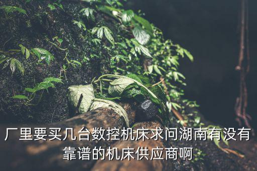 湖南機床廠，帶鋸床G5132是哪個廠家生產的G5132這個型號只能是湖南機床廠的