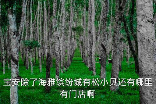 寶安除了海雅繽紛城有松小貝還有哪里有門店啊