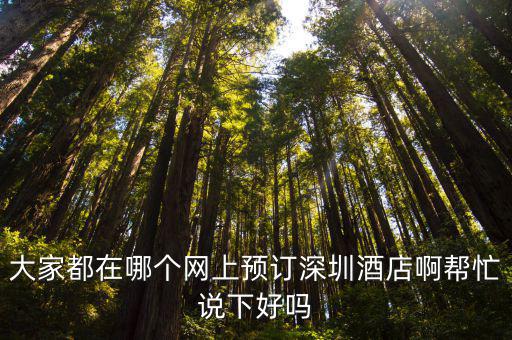 大家都在哪個網(wǎng)上預訂深圳酒店啊幫忙說下好嗎