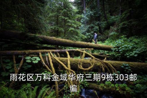 雨花區(qū)萬科金域華府三期9棟303郵編