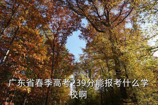 廣東省春季高考239分能報(bào)考什么學(xué)校啊