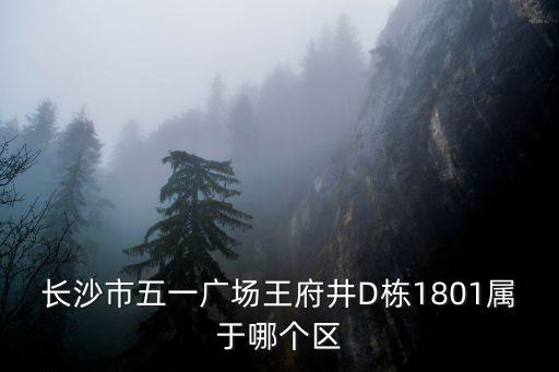 長沙王府井，長沙王府井購物怎么樣啊