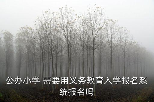 公辦小學(xué) 需要用義務(wù)教育入學(xué)報名系統(tǒng)報名嗎