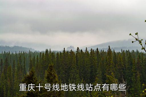 重慶十號線地鐵線站點有哪些