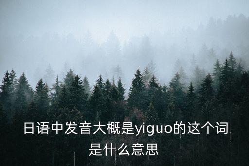 yiguo，日語中發音大概是yiguo的這個詞是什么意思